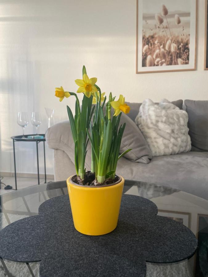 4-Sterne Ferienwohnung Krill バート・ヴルツァッハ エクステリア 写真